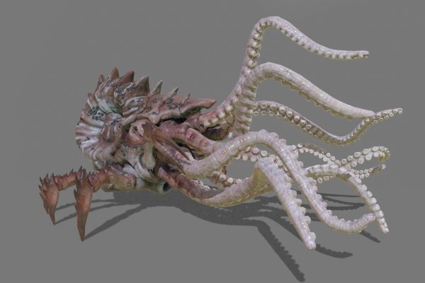 Kraken forum