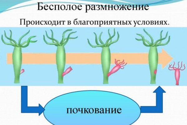 Что за площадка кракен